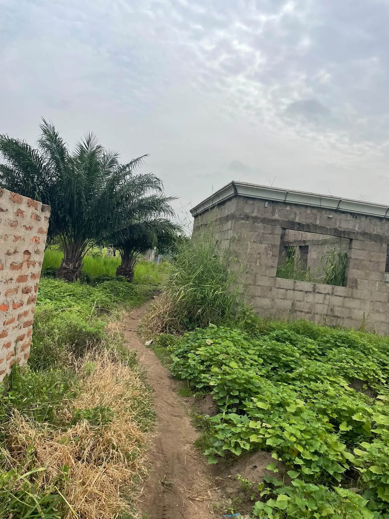 Additional view of Uncompleted Two Bedroom Building