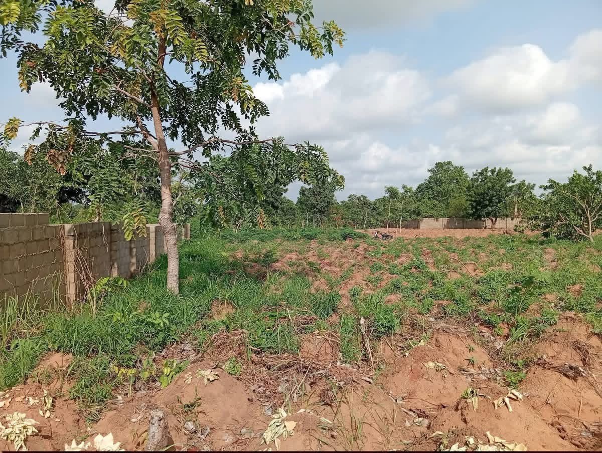 Spacious Land Plot in Mbaikya Community for sale in Mbaikya community, Makurdi, Benue