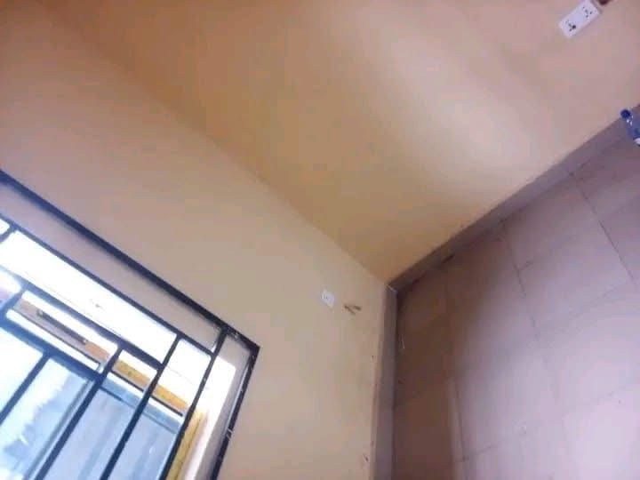 Additional view of One Bedroom Apartment for Rent