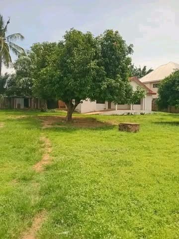 Additional view of Spacious 3-Bedroom Standalone Apartment