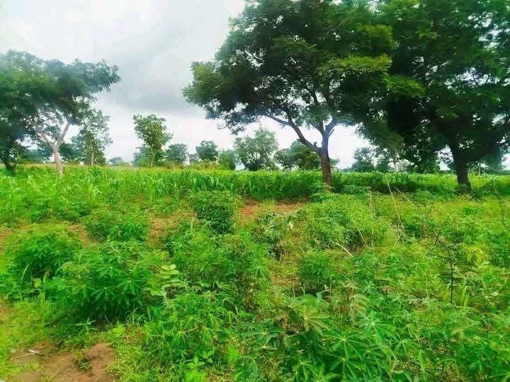 10 Plots of Land Behind Zeva Factory for sale in Gboko Road, Makurdi, Benue