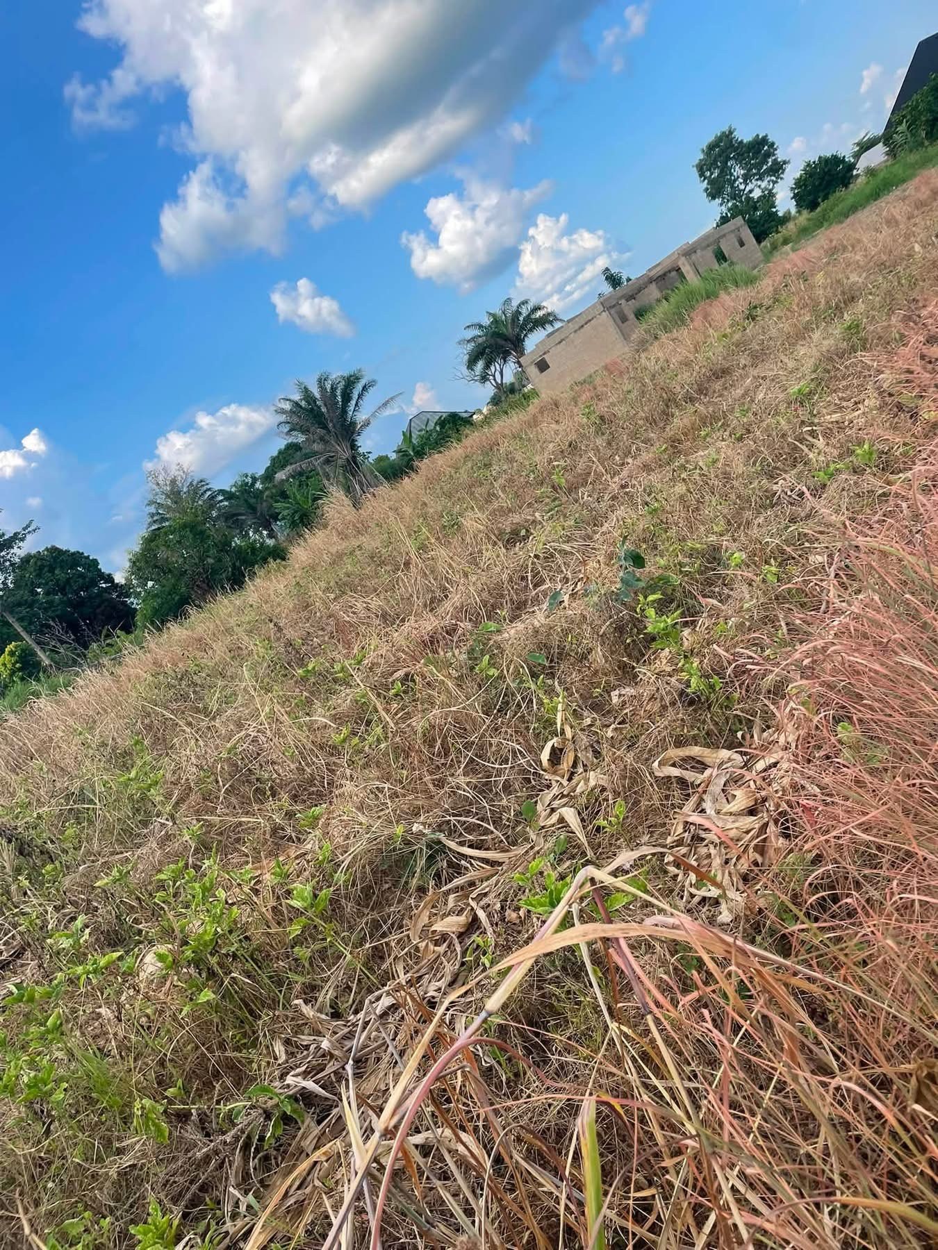 Additional view of Spacious Land Plot Facing Major Road