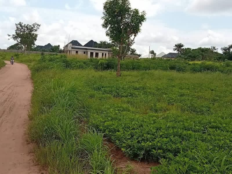 Additional view of Multiple Purpose Land for Sale in Yaikyo