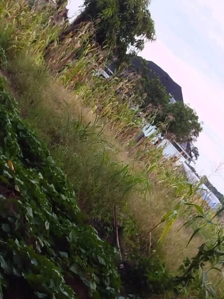 Additional view of Land Plot for Sale in Apir