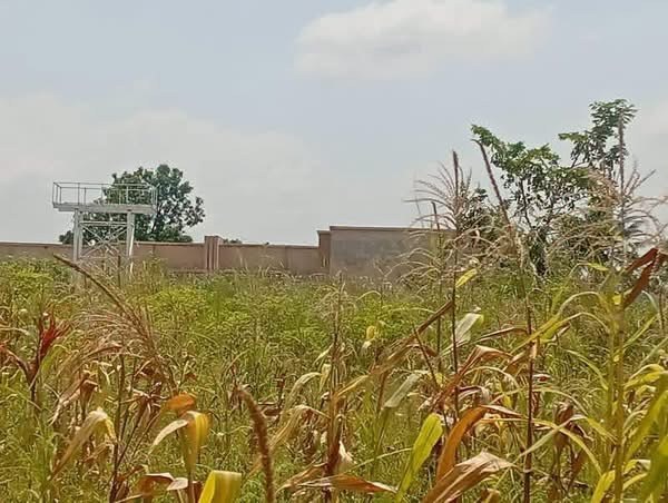 Plot of Land for Sale for sale in Off Yaikyo Road, Makurdi, Benue