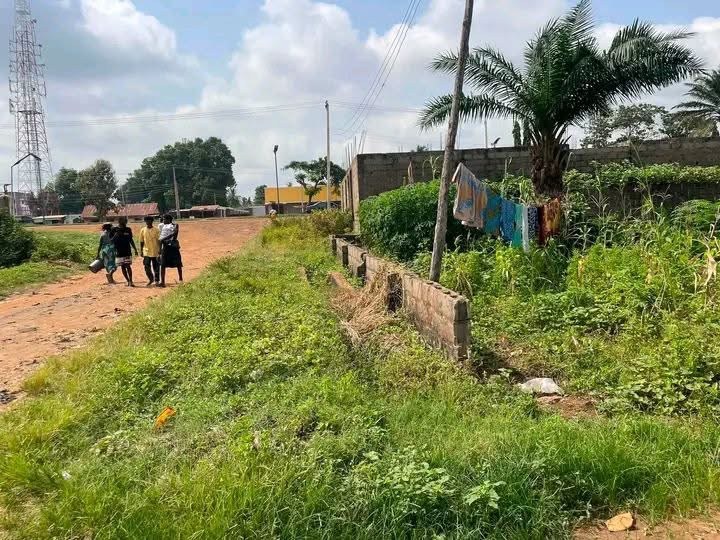 Additional view of 100/80 Plot of Land for Sale