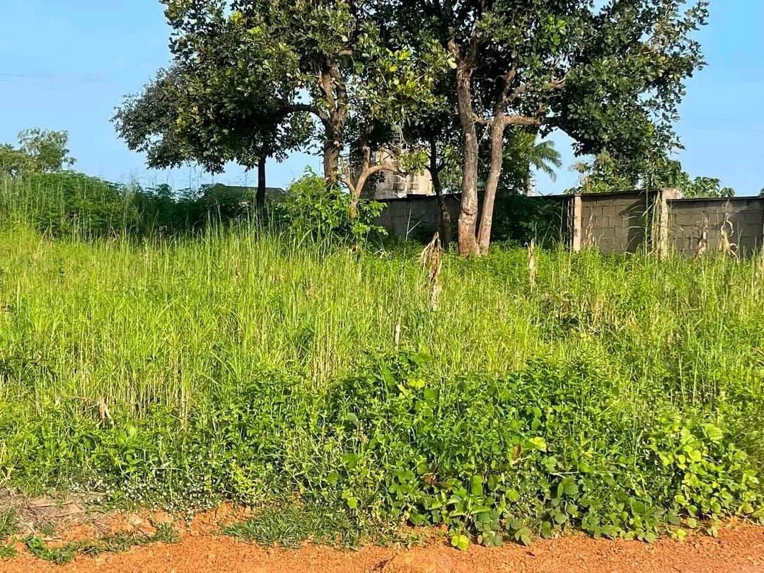 Additional view of 100x100 Plot of Land for Sale
