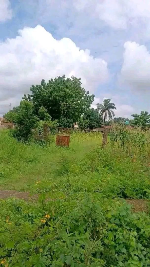 Additional view of Commercial Land for Sale Opposite Federal Secretariat