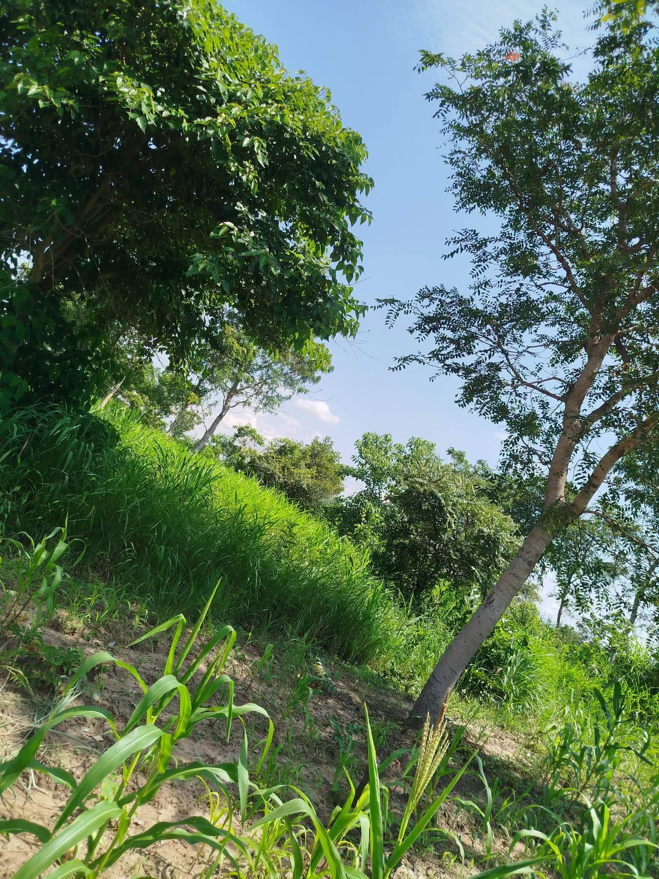 Additional view of Spacious Land for Sale Welfare Quarters