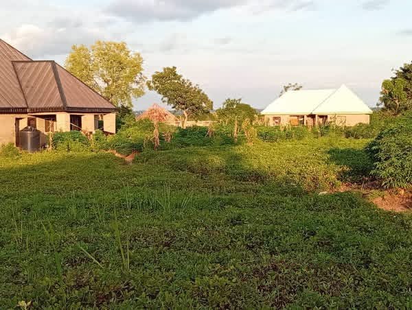 Additional view of Prime Buy and Build Land