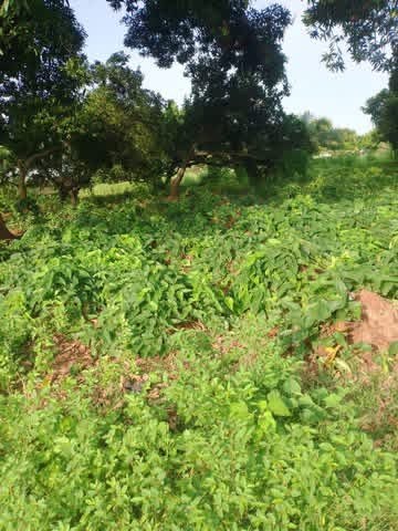 Additional view of Strategic Plot of Land for Sale