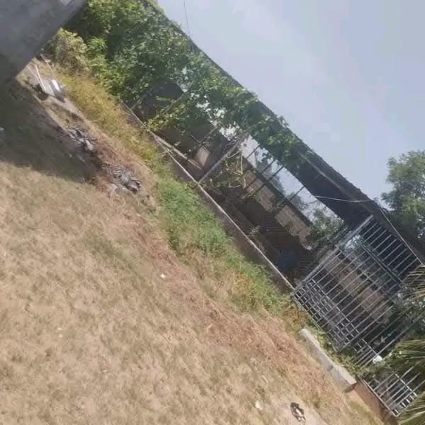 Additional view of Livestock Farm for Sale in Apir