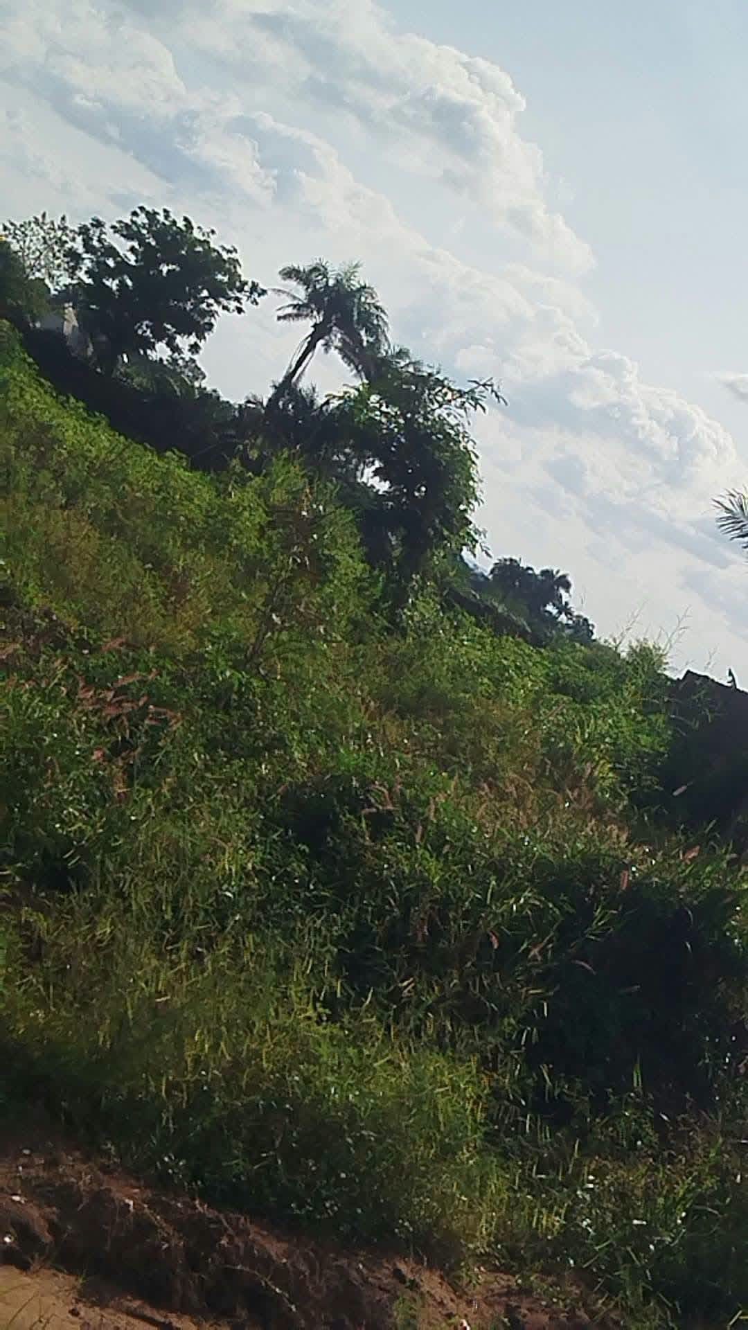 Additional view of Plot of Land Facing Tarred Road