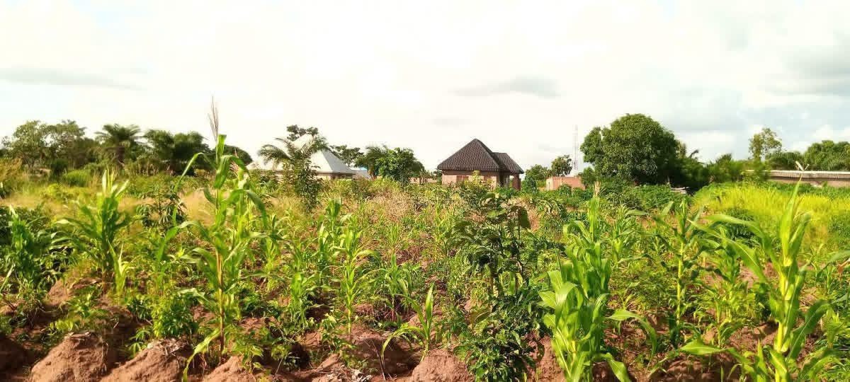 Additional view of Strategic Land for Sale in Makurdi