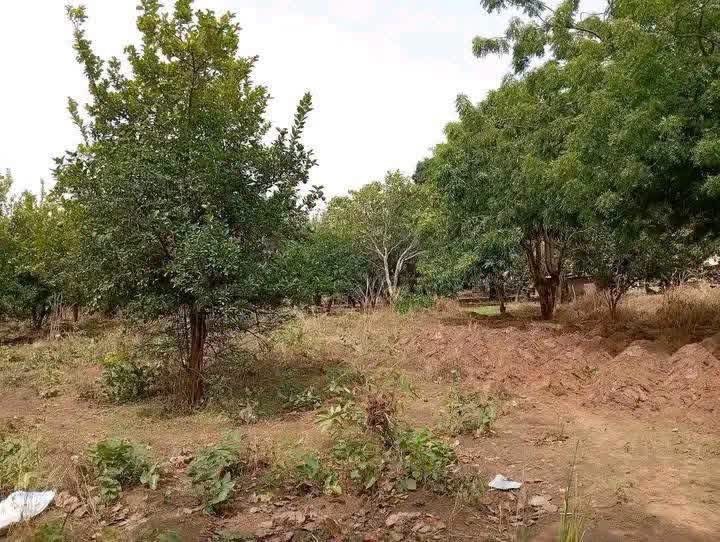 Additional view of Prime Land for Sale Makurdi