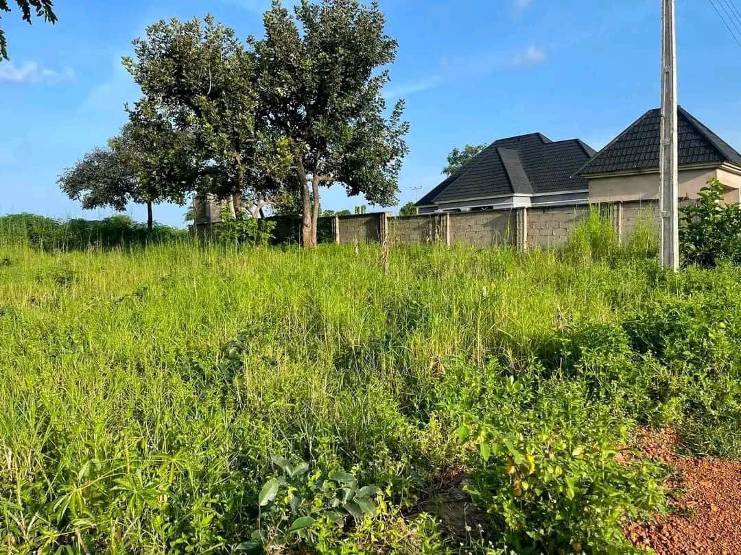 Additional view of 100x100 Plot of Land for Sale