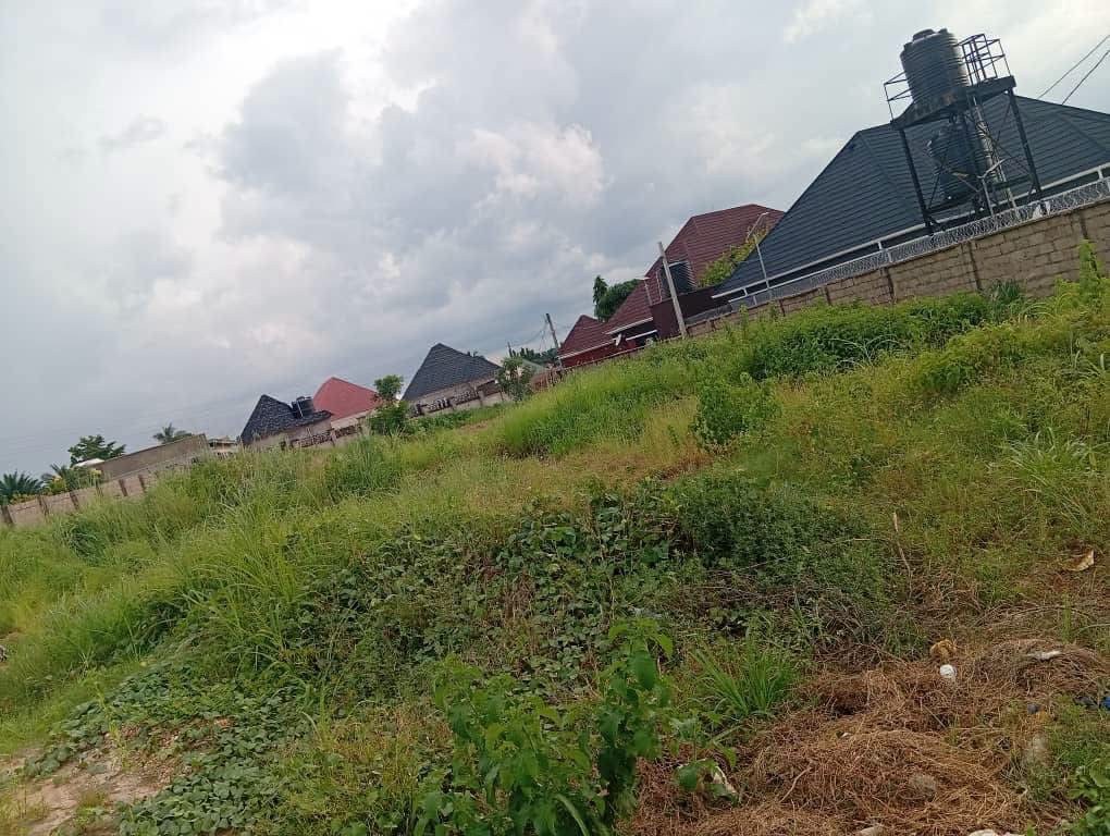 Additional view of Spacious Land in Owner Occupier Phase 2