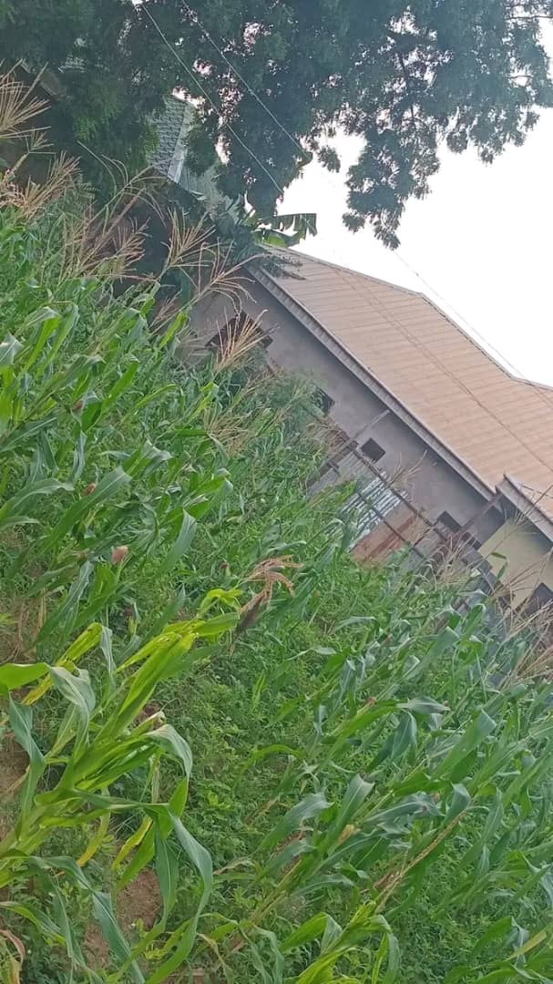 Additional view of Fenced Land for Sale Off Kashim Ibrahim