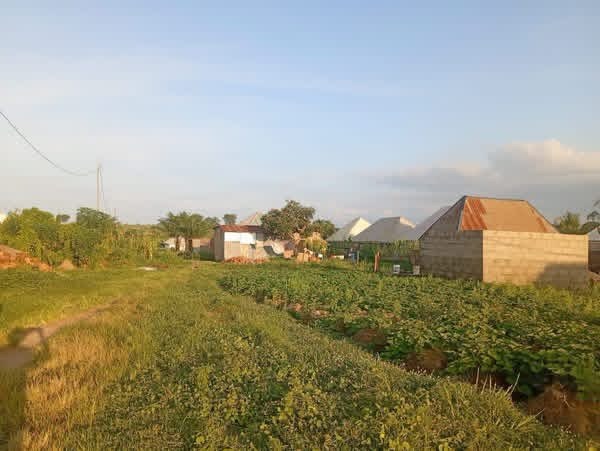 Additional view of Land in Tse Adi Extension
