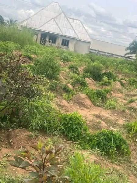 Additional view of Land for Sale in Nyon