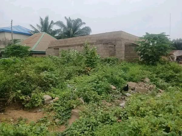 Additional view of Unfinished Two Bedroom House at Roofing Level