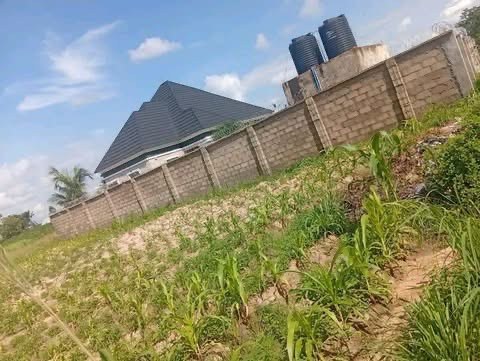Additional view of Land for Sale Off Jack Audu Street