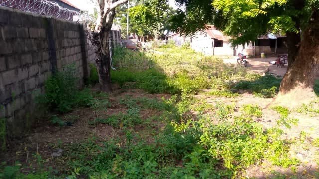 Additional view of Fenced Land Behind Margaret Cheen House