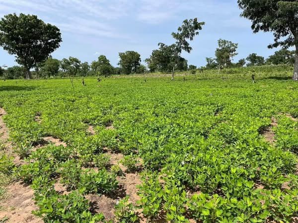 Additional view of Prime Land for Sale in Mbaikya, Makurdi