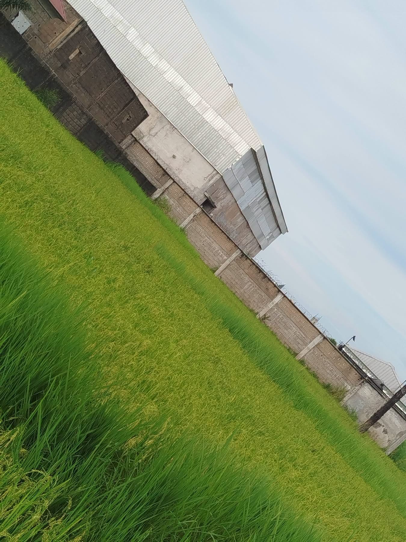 Industrial Layout Land for sale in Industrial Layout, Makurdi, Benue