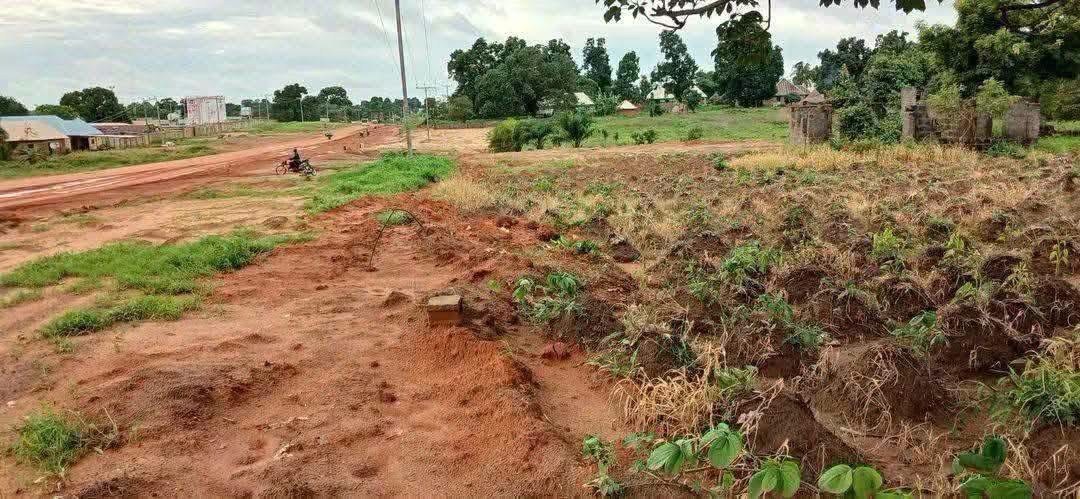 Additional view of Prime Land for Sale in Apir