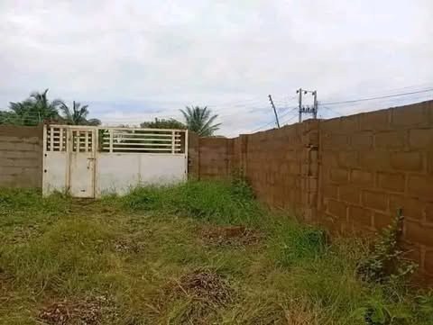 Additional view of Fenced 100x100 Plot of Land