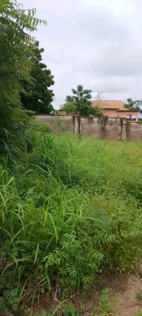 Fenced Land with C-of-O in Makurdi for sale in Behind Commissioner Quarters, Makurdi, Benue