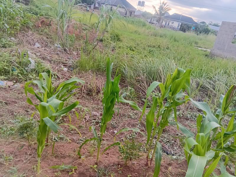 Land for Sale Nyon Layout Makurdi for sale in Nyon Layout, Makurdi, Benue