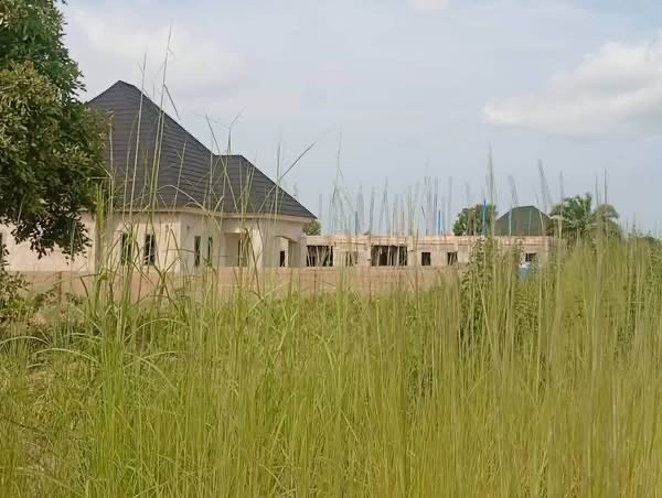 Additional view of 100x100 Plot of Land for Sale