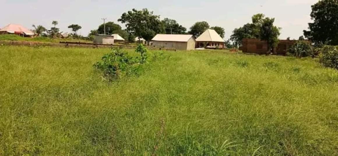 100ft by 100ft Land for Sale for sale in Terwase Agbado Road, Makurdi, Benue