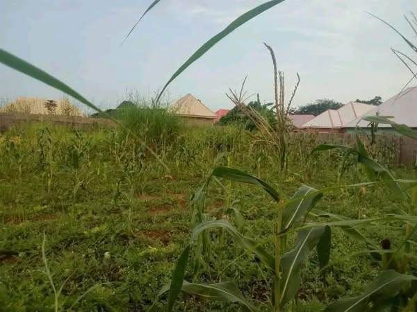 Additional view of 100ft x 100ft Land for Sale