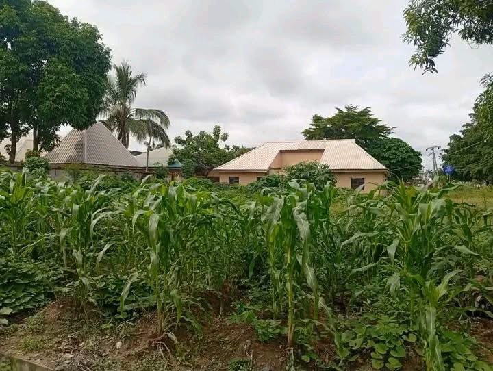 Additional view of Land For Sale Near SG Suites