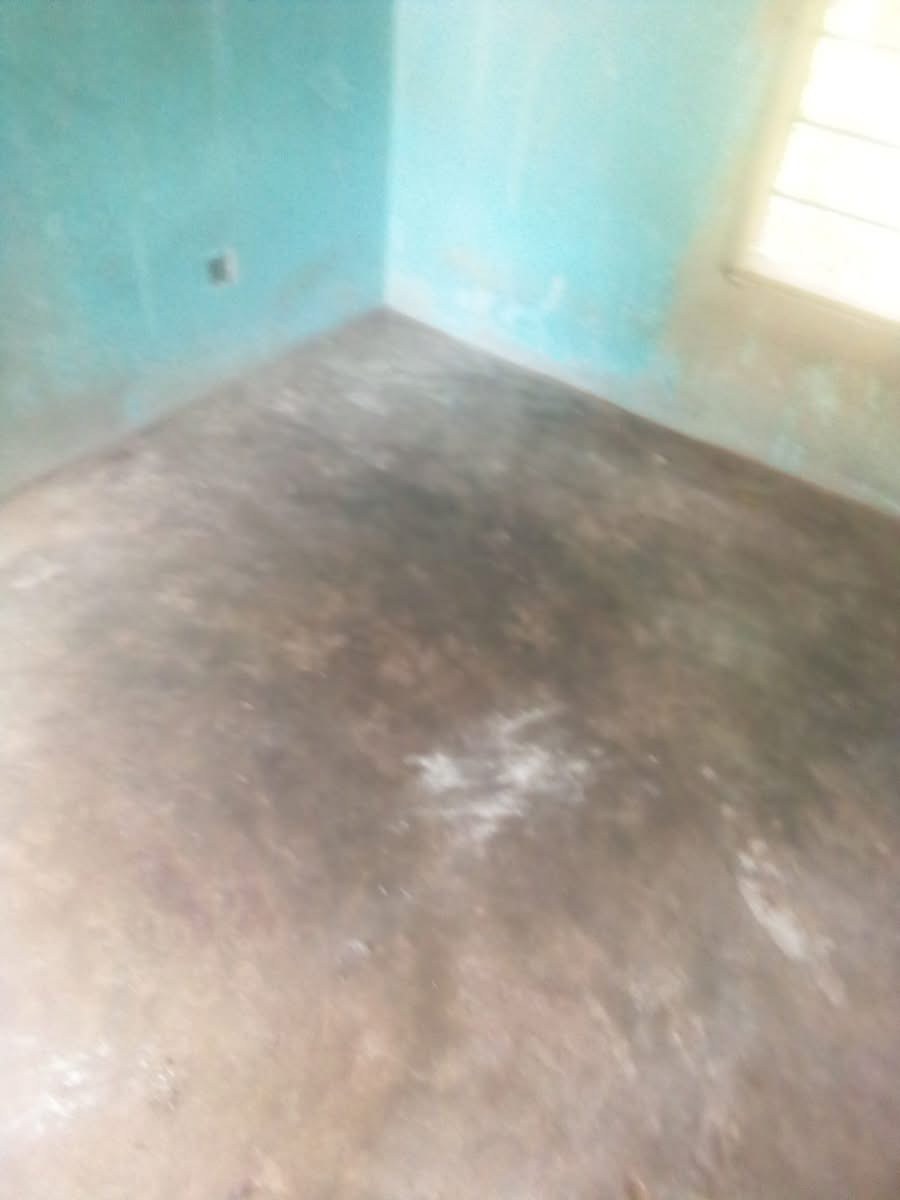 Single Room for Rent