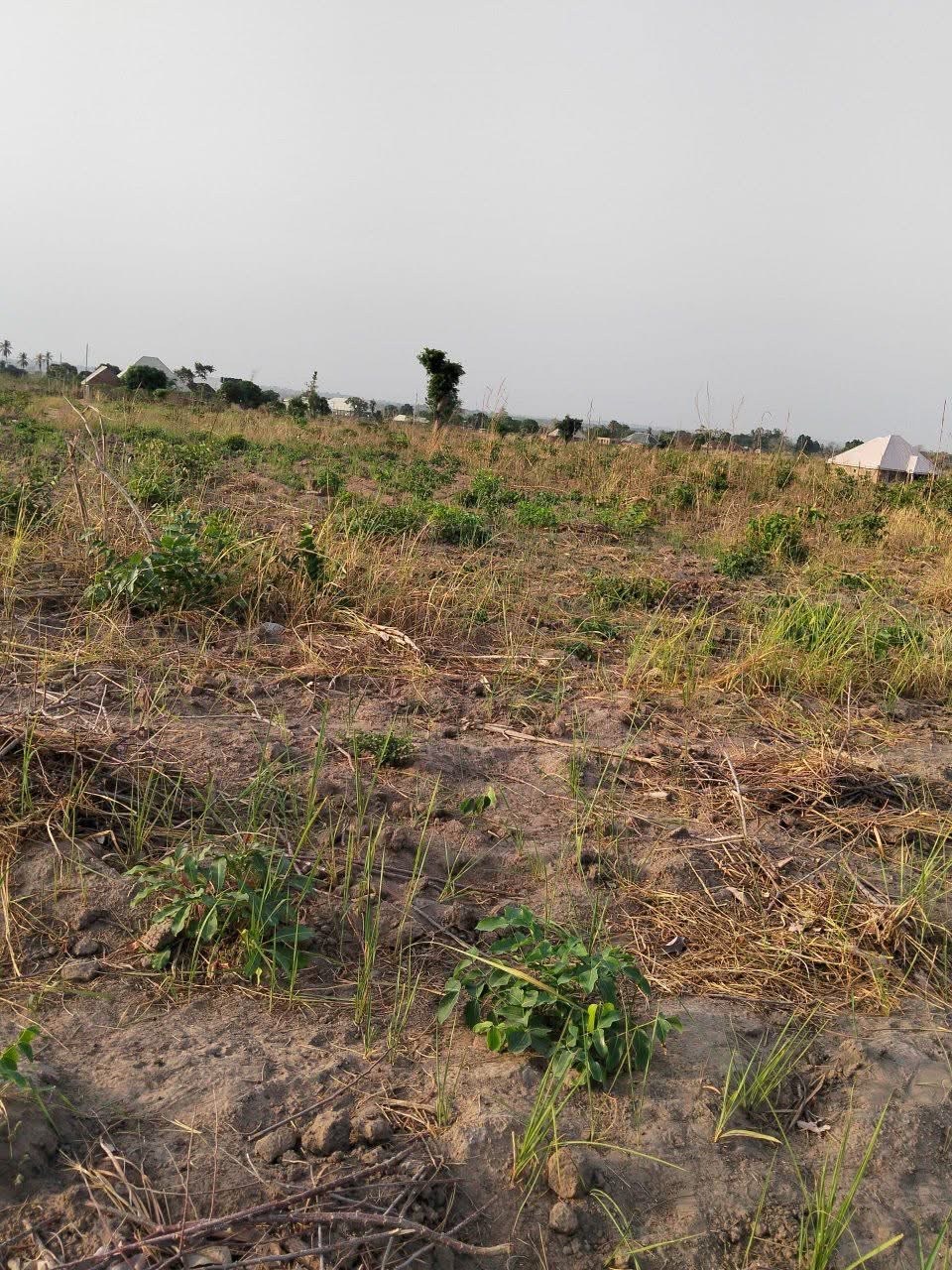 Additional view of Spacious Land for Sale in Makurdi
