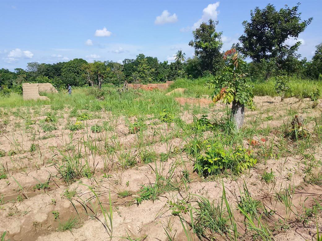 Additional view of Plot of Land with Well in Mkar
