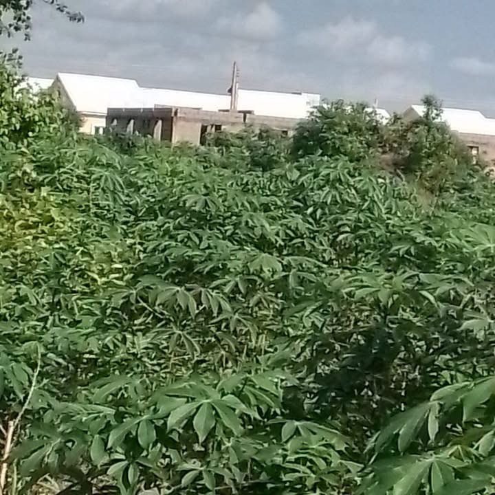 Land for Sale, Warfare Quarters Makurdi for sale in Warfare Quarters, Makurdi, Benue