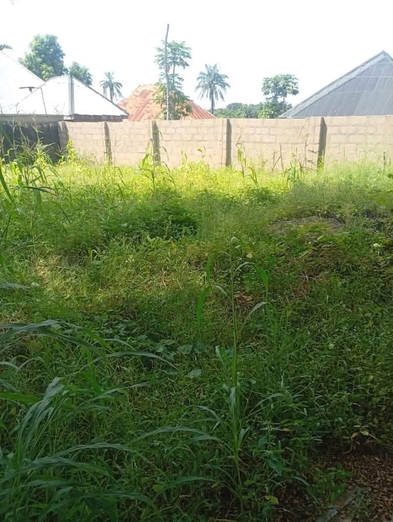 Additional view of Uncompleted One Bedroom Apartment and Single Room