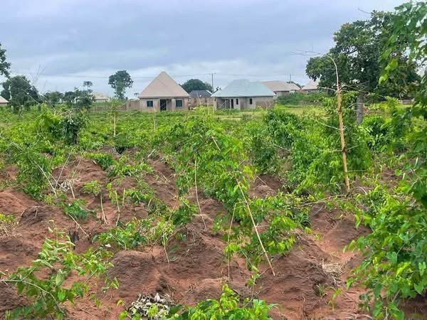 Additional view of Affordable Plot of Land in Makurdi