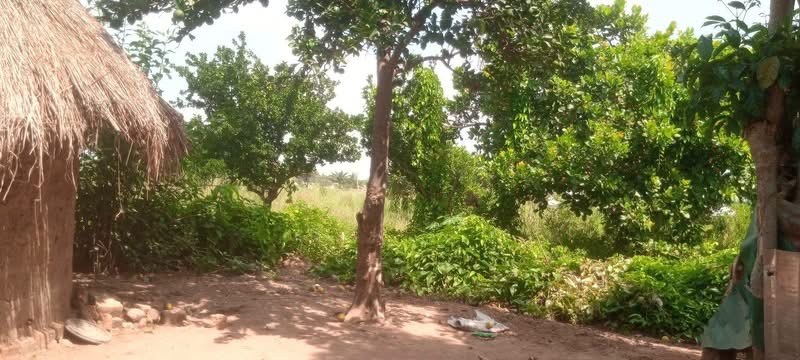 Additional view of Dry Table Land for Sale