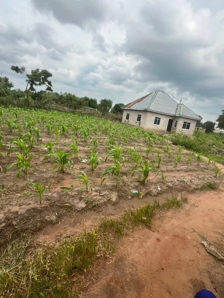 Additional view of Strategic Plot of Land for Sale