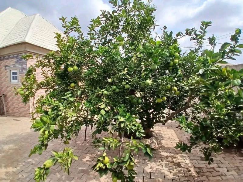 Additional view of Modern 3 Bedroom Flat for Sale