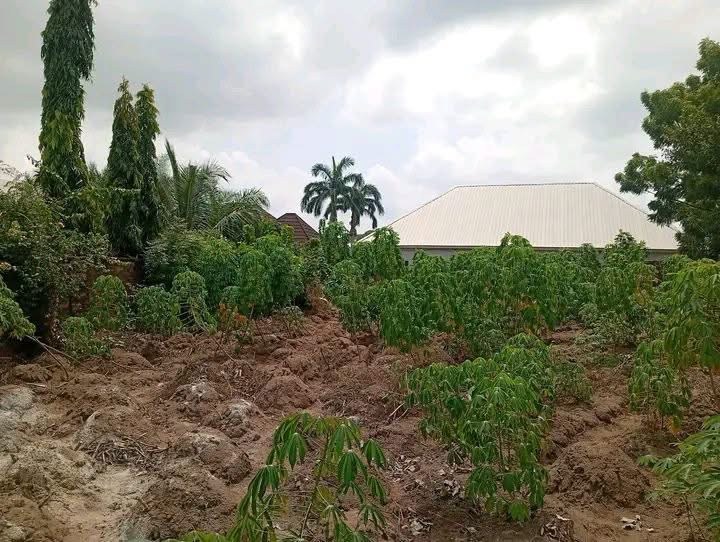 Additional view of Land For Sale At Judges Quarters