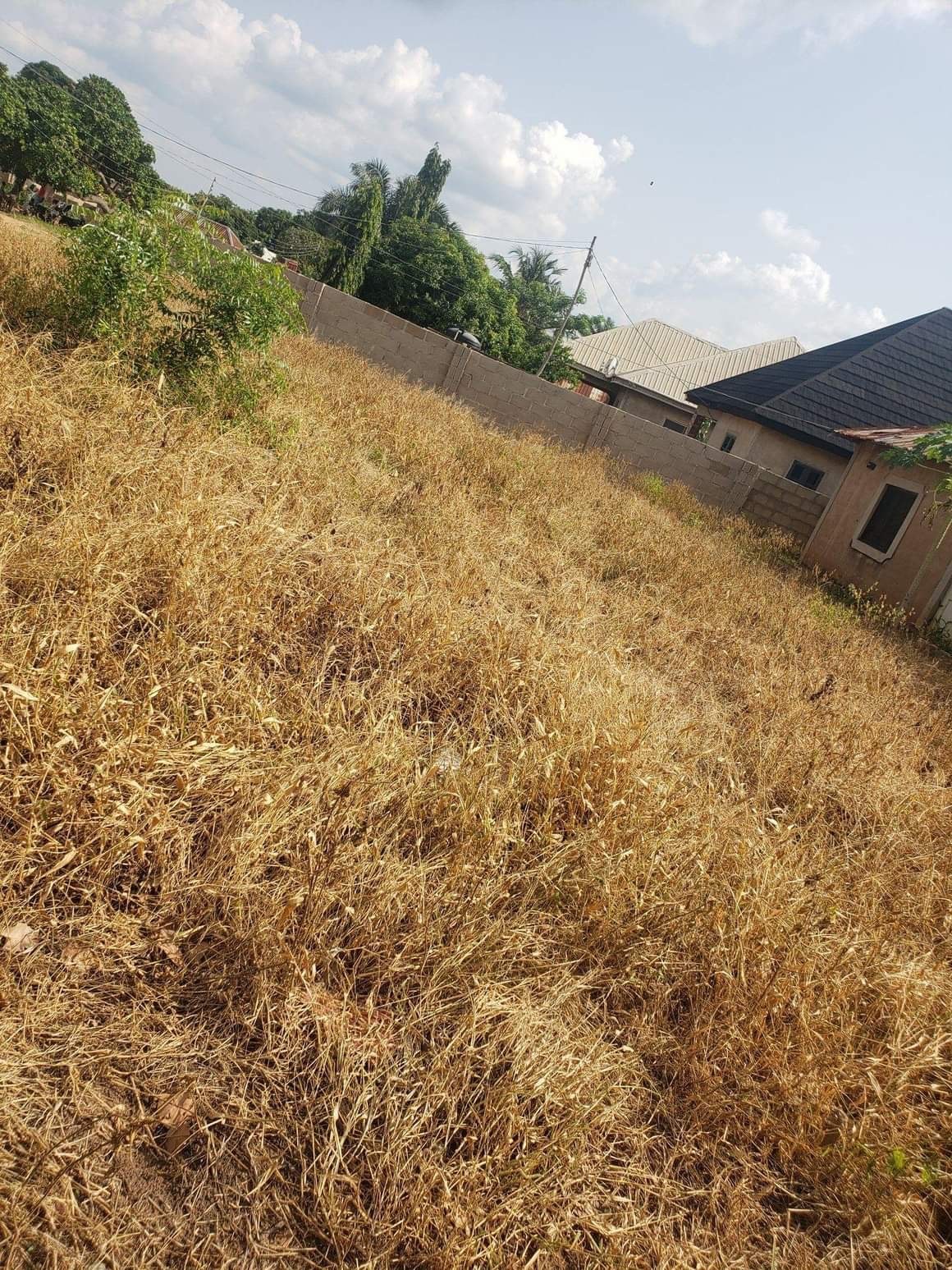 Additional view of Prime Plot at Yaikyo New Road