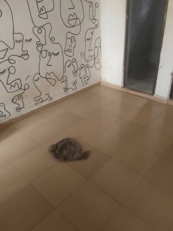 Additional view of Single Room Self Contain for Rent