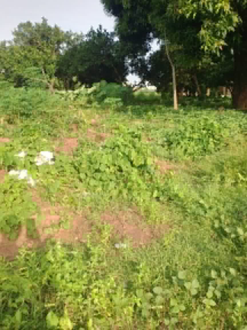 Additional view of Strategic Plot of Land for Sale